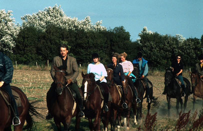 Reiten auf der Insel Fehmarn