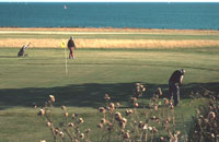 Golfen auf der Ferieninsel Fehmarn